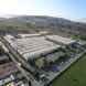 spot